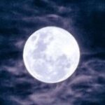 ماهچهره