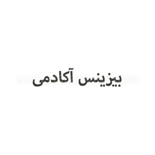 بیزینس آکادمی